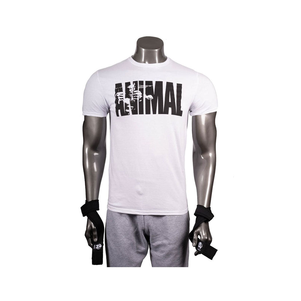 Animal Lifting Straps Universal Nutrition